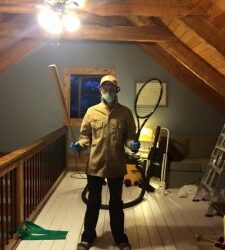 What I Learned About Digital Marketing From Having Bats In My Home