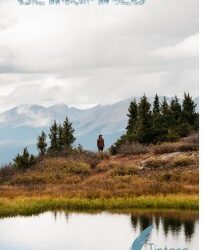 Keeping The Inspiration Tank Full For Content Marketing