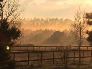 Beauty In The Common | A Break From The Digital Norm