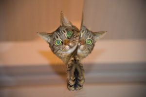 Duplicating Articles on LinkedIn, Tintero Creative Denver
